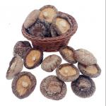 Brown Typical Delicious Dry Shiitake Mushroom 4cm Cultivation Cubensis