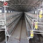Broiler Pullet Breeder Chicken Cage Galvanized Mesh A Type Layer Egg Hens for sale