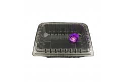 China 48oz Takeaway Plastic Food Container With Lids 184*84mm supplier