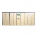 Automatic Network Computerized Parcel Locker Delivery Service For Apartment With Remote Control for sale
