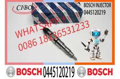China Common Rail Injector 0445120219 0445120100 0445120275 51101006127 for Man Truck supplier