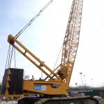 Well Maintained 220T Crawler Crane Second Hand Equipment Hydraulic Crawler for sale