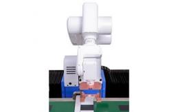 China Customization Intelligent Robotic Colorimeter Online Inspection System supplier