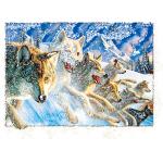 PET Plastic Material 5D Lenticular Image Frosted / Matte Finish for sale