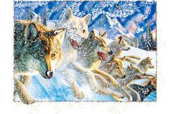 China PET Plastic Material 5D Lenticular Image Frosted / Matte Finish supplier