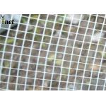 Orange Plastering Fiberglass Mesh 5X5mm Plaster Mesh Roll 160g For Wall