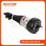 Air Suspension Strut 2223208913 2223209013 for Benz S Class 450 4-MATIC for sale