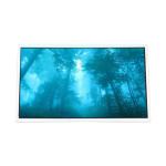 AUO a-Si TFT-LCD panel A025CN02 V2 480×234 LCD Displays Screen for sale