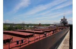 China FCL LCL China Import Customs Clearance , China Import Broker supplier