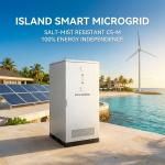 125kW 261kWh Island Smart Microgrid BESS Salt Mist Resistant Solar Wind Hybrid Energy Storage for sale