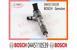 China 0445110538 0445110539 Bosch Fuel Injector CN1-9K546-A1 For Jmc Engine supplier