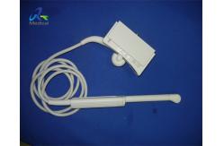 China Wideband Micro Convex Endovaginal Ultrasound Probe Transducer Siemens S2000 EV-8C4 supplier