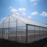 Tropical Ventilation System Sawtooth Single Span Greenhouse For Vegetables Growing for sale
