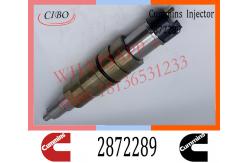 China Diesel SCANIA Common Rail Fuel Pencil Injector 2872289 2031835 2872544 supplier