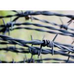 Garden Anti-Theft Length 200m Stainless Steel Barbed Wire Price Per Roll for sale