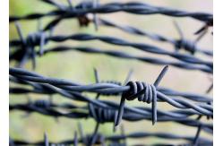 China Hot-dipped Galvanized Security Barbed Wire High-Diameter Wire for Secure Boundaries supplier
