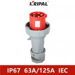 IP67 Three Phase 63A 125A 380V Industrial Plug And Socket IEC Standard