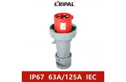 China IP67 Three Phase 63A 125A 380V Industrial Plug And Socket IEC Standard supplier