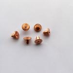Round Head Stainless Steel Rivet Cold Heading For New Energy Vehicles for sale