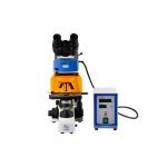 Professional Trinocular Upright Fluorescence Microscope 100W Mercury Lamp