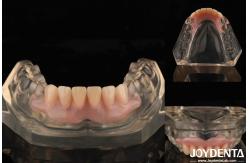 China Tooth Arrangement Technology Flexible Denture Finish High Elasticity Customization supplier