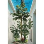 170cm Artificial Landscape Trees Fishtail Plant Indoor Decoration No Watering for sale