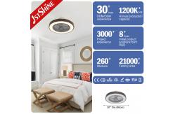 China Bedroom Remote Control Silent DC Motor Low Profile Ceiling Fan With Lights supplier