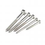 DIN571 Self Tapping Screw ANSI ASME Stainless Steel Hexagon Head for sale