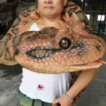 Manual Control Custom Snake Hand Puppet Waterproof / Weatherproof for sale