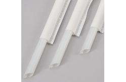 China 100% Eco Friendly Individually Straws Wrapped Compostable Pla Cold And Hot Drinking supplier