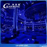 Multiscene flexible LED RGB Rope Light Strip length 500cm SPI Control