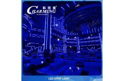 China Multiscene flexible LED RGB Rope Light Strip length 500cm SPI Control supplier