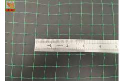 China Green Square Polypropylene Mesh Screen For Erosion Control Blanket supplier