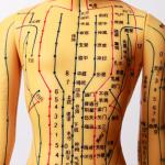 Realistic Acupuncture Model Detailed Body For Acupuncture Needles Safety for sale