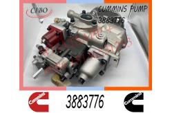China Cummins  NT855 M11 Diesel Engine Fuel Injection Pump 3883776 4951390 supplier