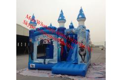 China frozen inflatable bouncer frozen inflatable bouncer supplier