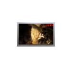 AA121XK02 12.1 inch resolution 1024*768 LCD Display Screen for sale