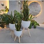 Hand Carved Finishing Reinforced Clay Planter In Fiber Clay Customizable Design