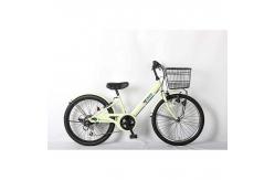 China Variable Speed 22 Inch Student Bike For 11 12 Year Olds supplier