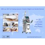 Spa 360 Cryolipolysis Slimming Machine Fat Freezing + Emslim Muscle Stimulation Body for sale
