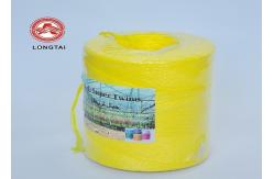 China 2.5g/M 1600m/Roll 4KG Polypropylene Banana Packing Twine With UV Stabilisation supplier