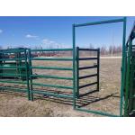 6ft X 12ft Livestock Metal Cattle Fence Panels Heavy Duty Horse Round Pen Panels for sale