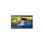 N140HCN-E5C 14.0 inch 1920*1080 40 pins LCD Screen Module for sale