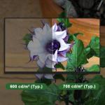 RGB Vertical Stripe 13.3 LCD Screen 1920*1080 TFT LCD Module for sale