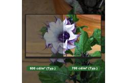 China RGB Vertical Stripe 13.3 LCD Screen 1920*1080 TFT LCD Module supplier