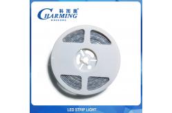 China IP65 IP42 RGB Flexible Light Strip , Multiscene Nightclub LED Lights supplier