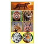Rectangle Adhesive 3D Lenticular Stickers For Children's Book PET/PP Printing