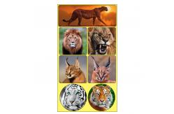 China Rectangle Adhesive 3D Lenticular Stickers For Children's Book PET/PP Printing supplier