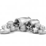 SS  Check Valve Non Return Valve Normal Temperature for sale