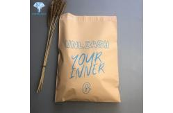 China Eco Friendly Pink LDPE HDPE Poly Mailers Envelopes Bags Self Adhesive supplier